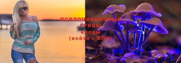 твердый Балахна