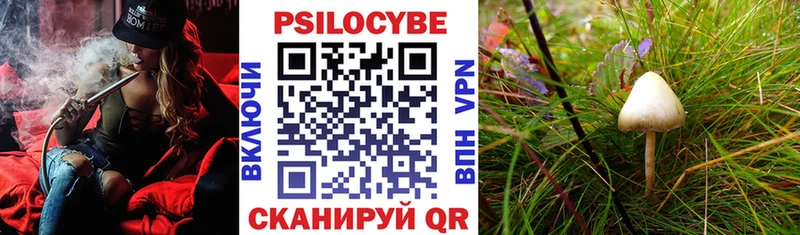 Псилоцибиновые грибы мицелий  Сим 